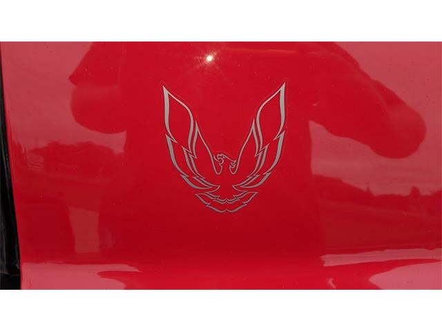 1989 Pontiac Firebird Trans Am (CC-1103948) for sale in Annandale, Minnesota