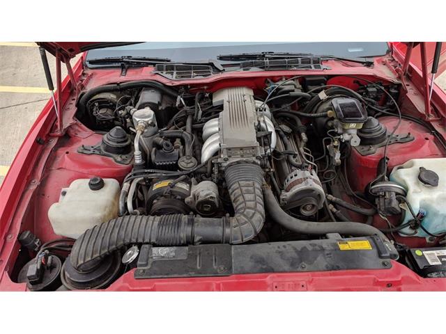 1989 Pontiac Firebird Trans Am (CC-1103948) for sale in Annandale, Minnesota