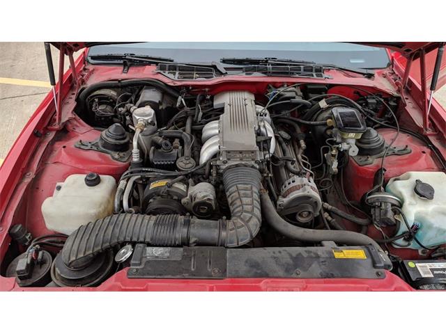 1989 Pontiac Firebird Trans Am (CC-1103948) for sale in Annandale, Minnesota