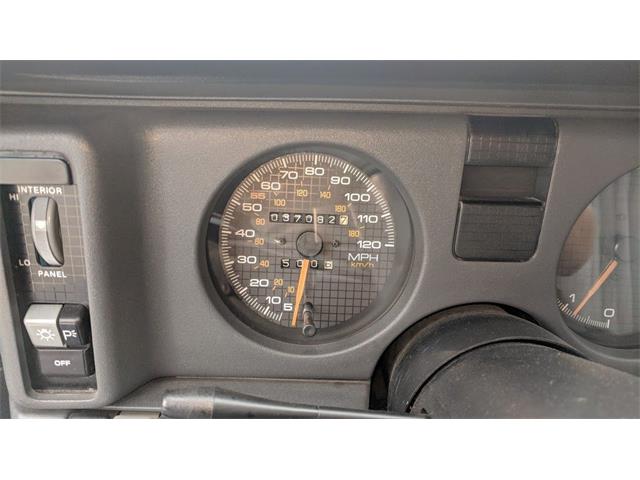 1989 Pontiac Firebird Trans Am (CC-1103948) for sale in Annandale, Minnesota
