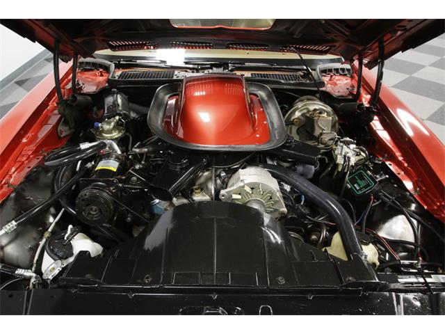1976 Pontiac Firebird Trans Am (CC-1104466) for sale in Concord, North Carolina