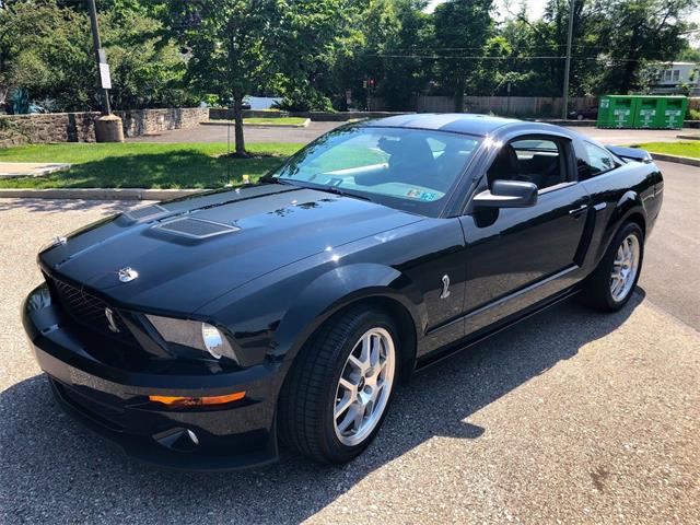 2008 Shelby GT500 (CC-1104798) for sale in Mill Hall, Pennsylvania