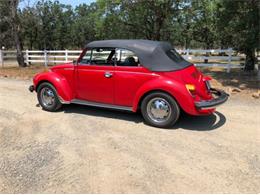 1975 Volkswagen Beetle (CC-1100520) for sale in Reno, Nevada