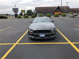 2018 Shelby GT350 (CC-1105316) for sale in Pequot Lakes, Minnesota