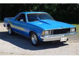 1980 Chevrolet El Camino (CC-1105383) for sale in Mundelein, Illinois