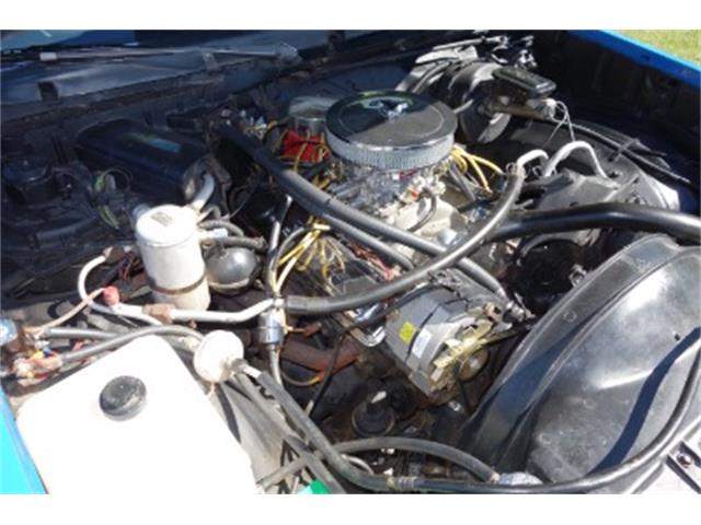 1980 Chevrolet El Camino (CC-1105383) for sale in Mundelein, Illinois