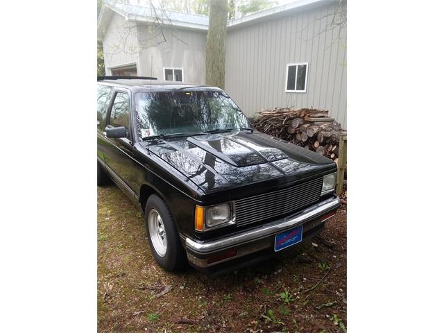 1984 Chevrolet S10 Blazer (CC-1105426) for sale in Lake Odessa, Michigan