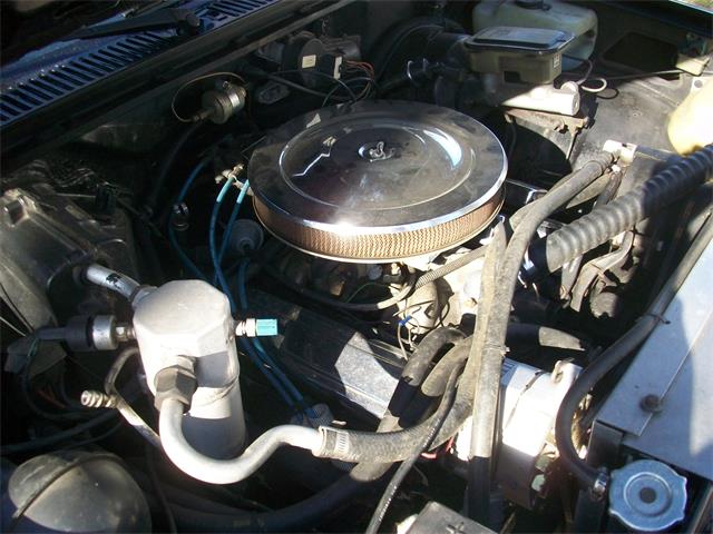 1984 Chevrolet S10 Blazer (CC-1105426) for sale in Lake Odessa, Michigan