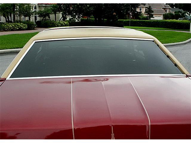 1979 Ford Thunderbird (CC-1100582) for sale in Lakeland, Florida