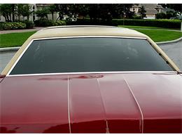 1979 Ford Thunderbird (CC-1100582) for sale in Lakeland, Florida