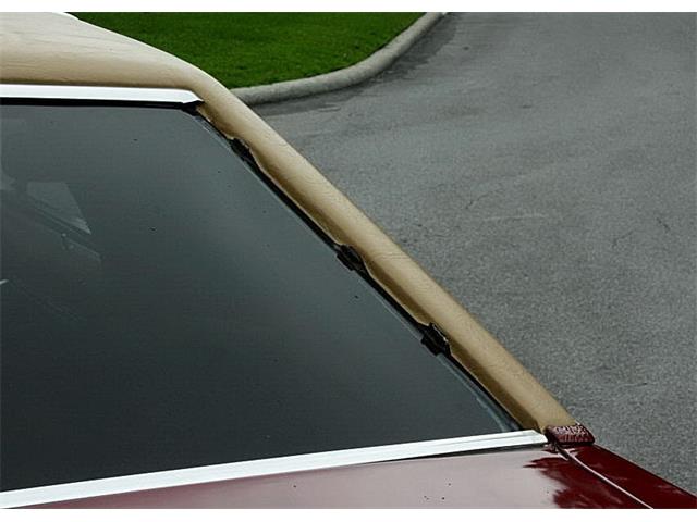 1979 Ford Thunderbird (CC-1100582) for sale in Lakeland, Florida