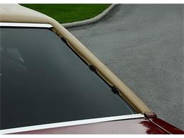 1979 Ford Thunderbird (CC-1100582) for sale in Lakeland, Florida