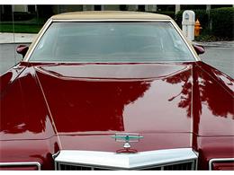 1979 Ford Thunderbird (CC-1100582) for sale in Lakeland, Florida