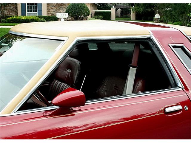 1979 Ford Thunderbird (CC-1100582) for sale in Lakeland, Florida