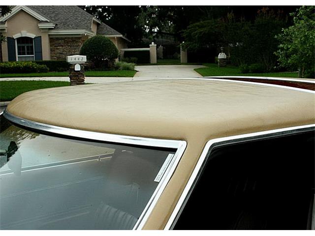 1979 Ford Thunderbird (CC-1100582) for sale in Lakeland, Florida