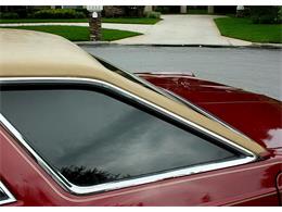 1979 Ford Thunderbird (CC-1100582) for sale in Lakeland, Florida