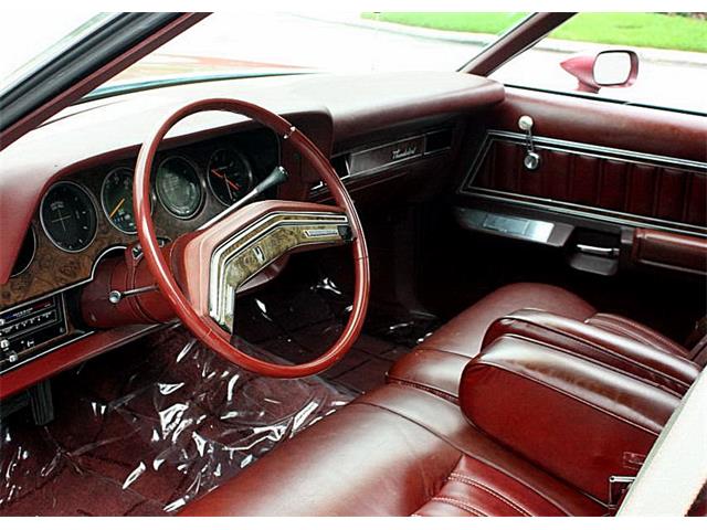 1979 Ford Thunderbird (CC-1100582) for sale in Lakeland, Florida