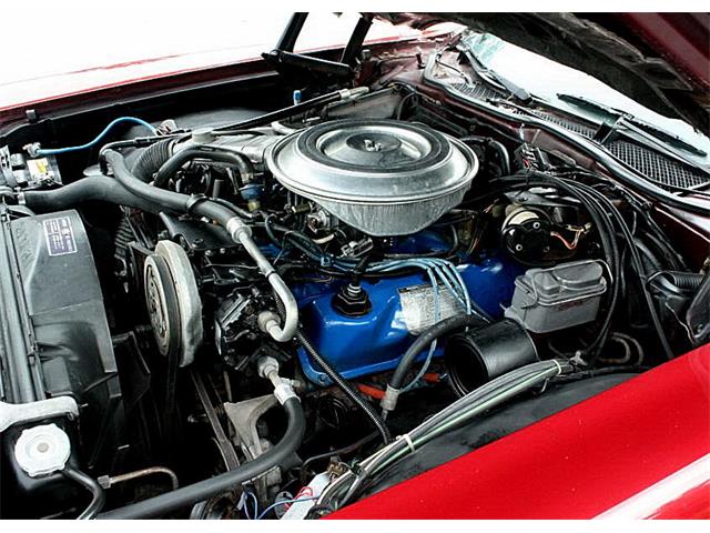 1979 Ford Thunderbird (CC-1100582) for sale in Lakeland, Florida