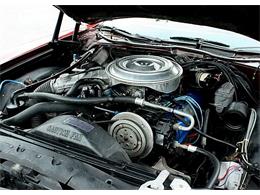 1979 Ford Thunderbird (CC-1100582) for sale in Lakeland, Florida