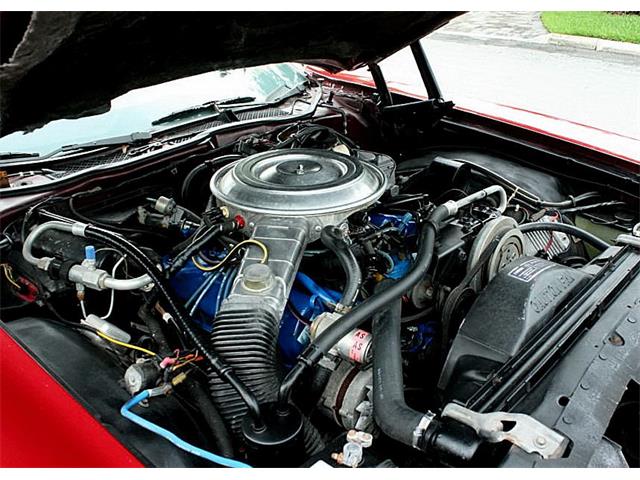 1979 Ford Thunderbird (CC-1100582) for sale in Lakeland, Florida