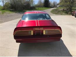 1977 Pontiac Firebird Trans Am (CC-1100059) for sale in Cadillac, Michigan
