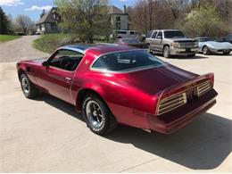 1977 Pontiac Firebird Trans Am (CC-1100059) for sale in Cadillac, Michigan