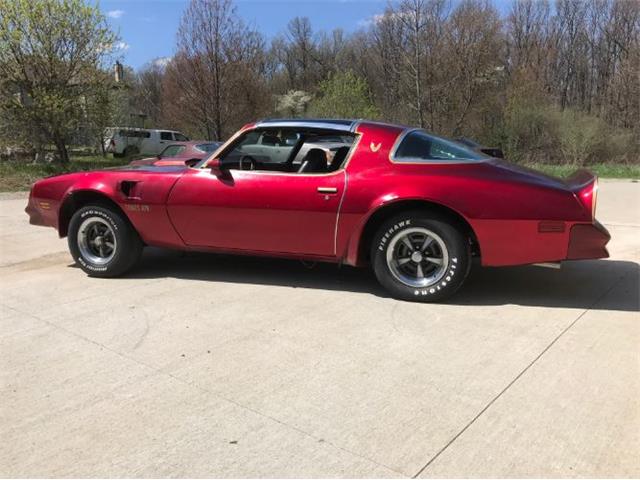 1977 Pontiac Firebird Trans Am (CC-1100059) for sale in Cadillac, Michigan