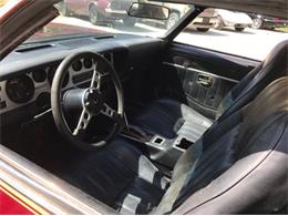 1977 Pontiac Firebird Trans Am (CC-1100059) for sale in Cadillac, Michigan