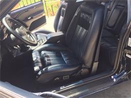 1988 Ford Thunderbird (CC-1105980) for sale in SHERIDAN, Wyoming