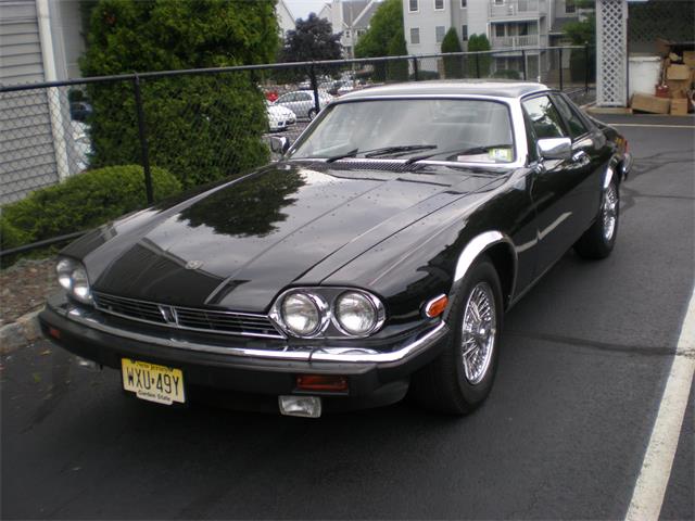 1988 Jaguar XJS (CC-1107216) for sale in Riverdale, New Jersey