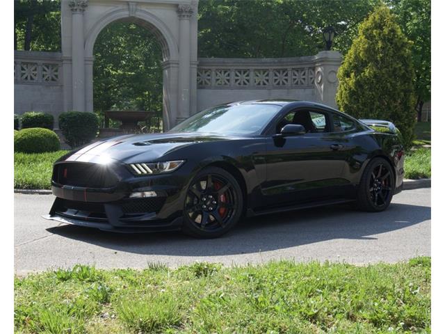 2017 Shelby GT (CC-1107313) for sale in Cape Girardeau, Missouri