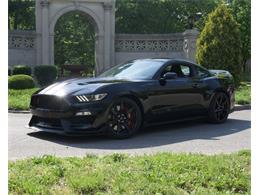 2017 Shelby GT (CC-1107313) for sale in Cape Girardeau, Missouri