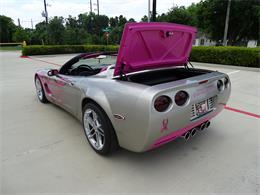 2002 Chevrolet Corvette (CC-1100779) for sale in Houston, Texas