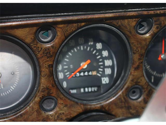 1972 Chevrolet Monte Carlo (CC-1107941) for sale in Lakleand, Florida
