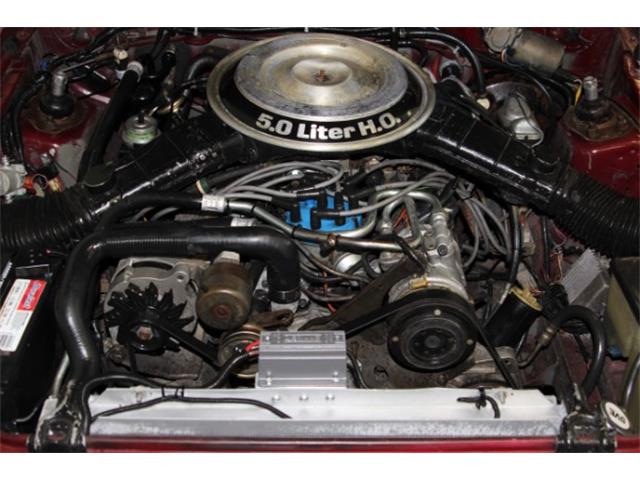 1982 Ford Mustang (CC-1108585) for sale in San Ramon, California