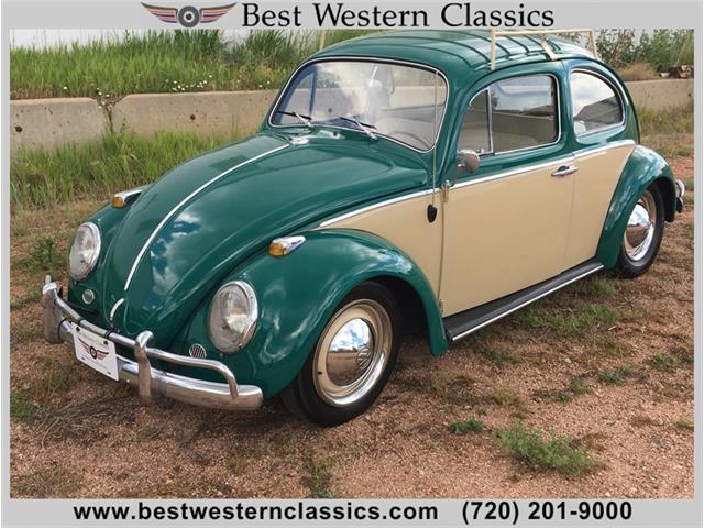 1964 Volkswagen Beetle (CC-1108644) for sale in Franktown, Colorado