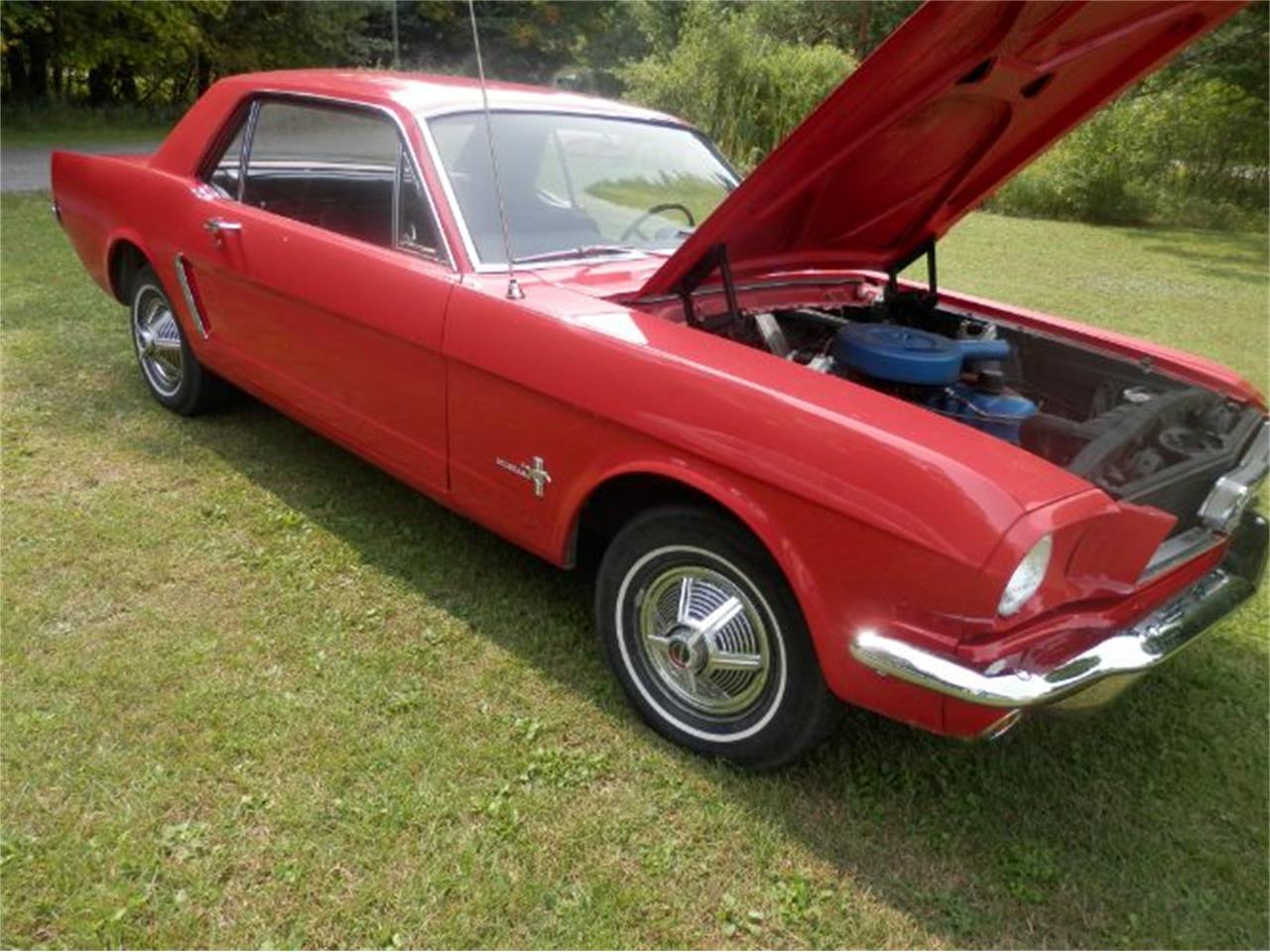 1965 Ford Mustang for Sale | ClassicCars.com | CC-1108654