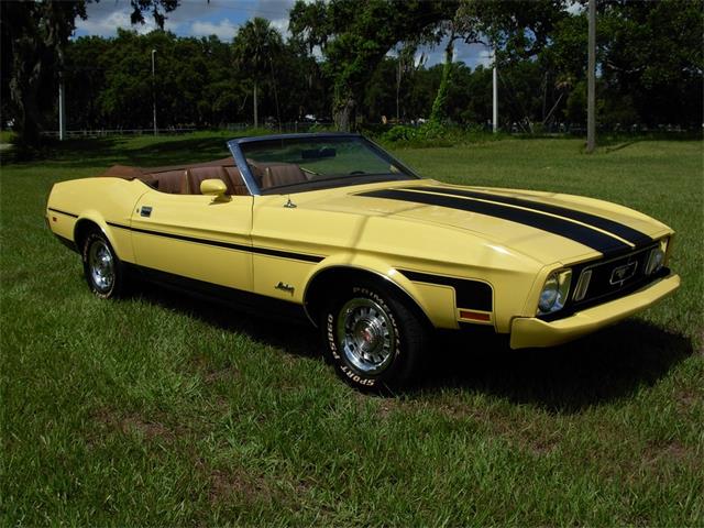 1973 Ford Mustang (CC-1109416) for sale in Palmetto, Florida