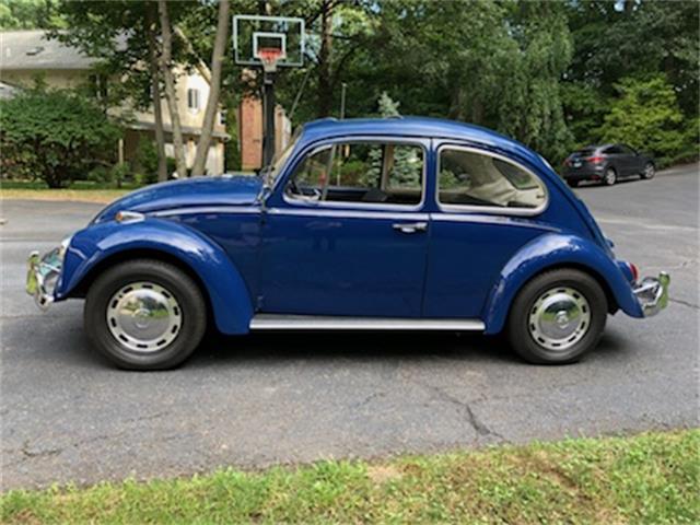 1967 Volkswagen Beetle (CC-1109467) for sale in Farmington, Connecticut