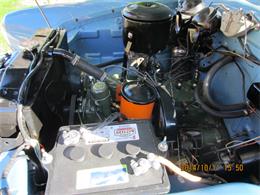 1950 Studebaker Champion (CC-1109968) for sale in Naples, Florida