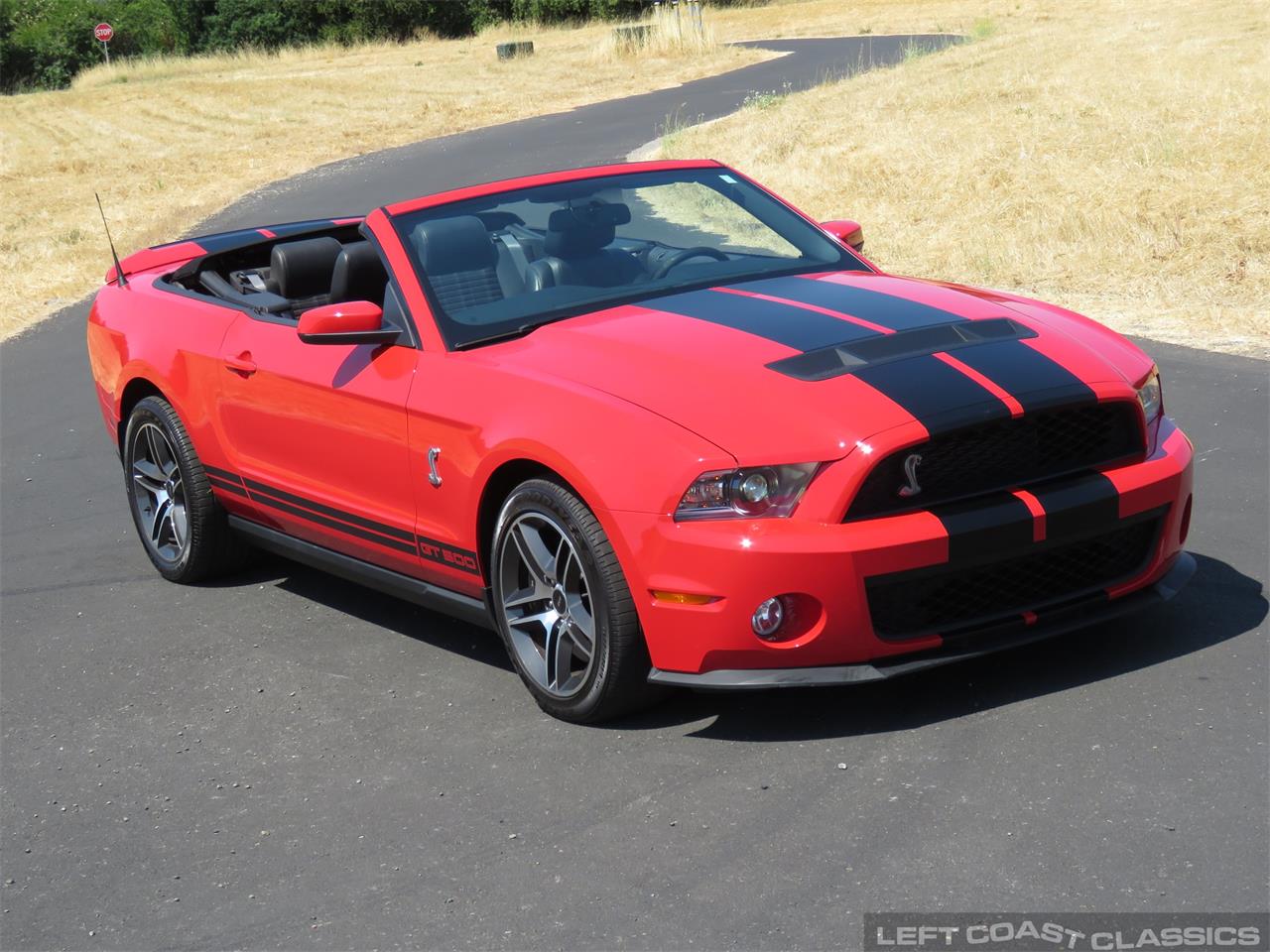 2010 Ford Shelby GT500 SVT for Sale | ClassicCars.com | CC-1109989