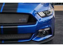 2017 Ford Mustang (CC-1111200) for sale in Miami, Florida