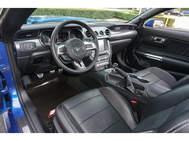 2017 Ford Mustang (CC-1111200) for sale in Miami, Florida