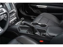 2017 Ford Mustang (CC-1111200) for sale in Miami, Florida