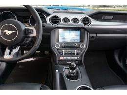 2017 Ford Mustang (CC-1111200) for sale in Miami, Florida