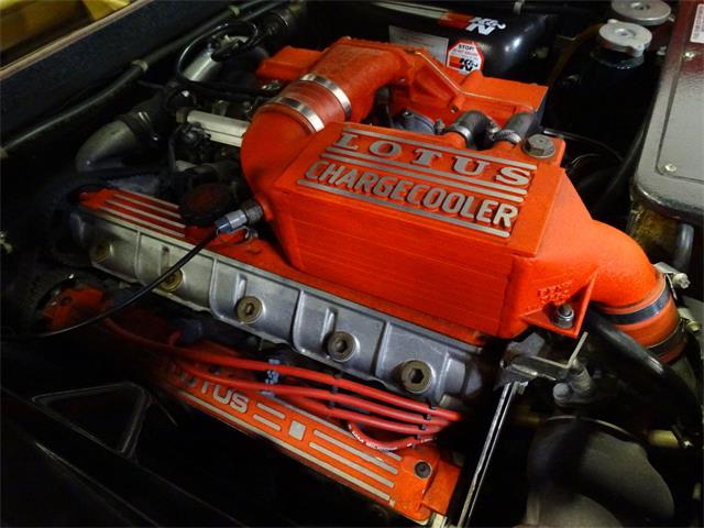 1989 Lotus Esprit (CC-1111284) for sale in West Deptford, New Jersey