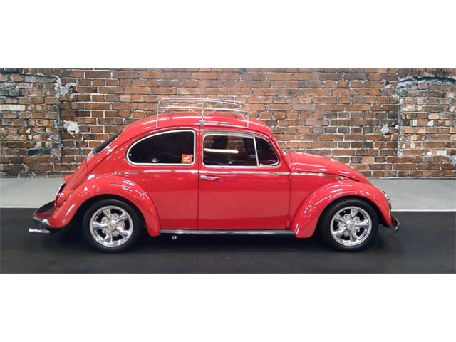 1966 Volkswagen Beetle (CC-1111707) for sale in Greensboro, North Carolina