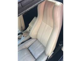 1985 Lamborghini Jalpa (CC-1112320) for sale in WINNIPEG, Manitoba