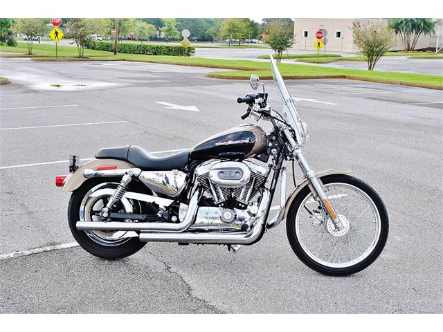 2004 Harley-Davidson Sportster (CC-1112487) for sale in Lakeland, Florida