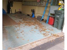 1968 Shelby GT500 (CC-1112515) for sale in Lansdale, Pennsylvania